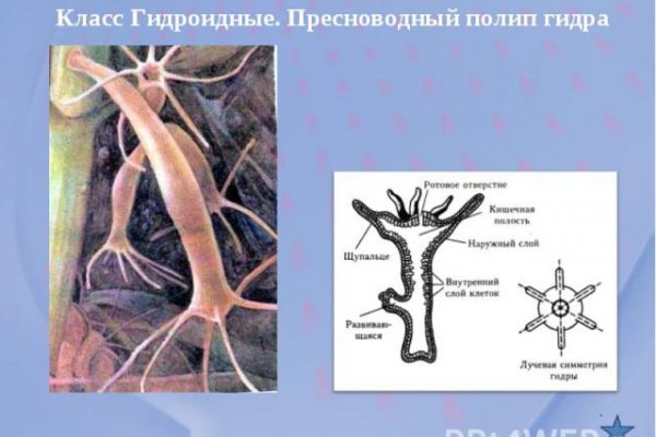 Ссылки на сайты в даркнете