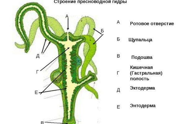 Кракен наркошоп